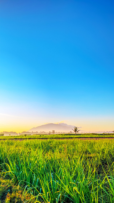 Blue sky field 2 screenshot