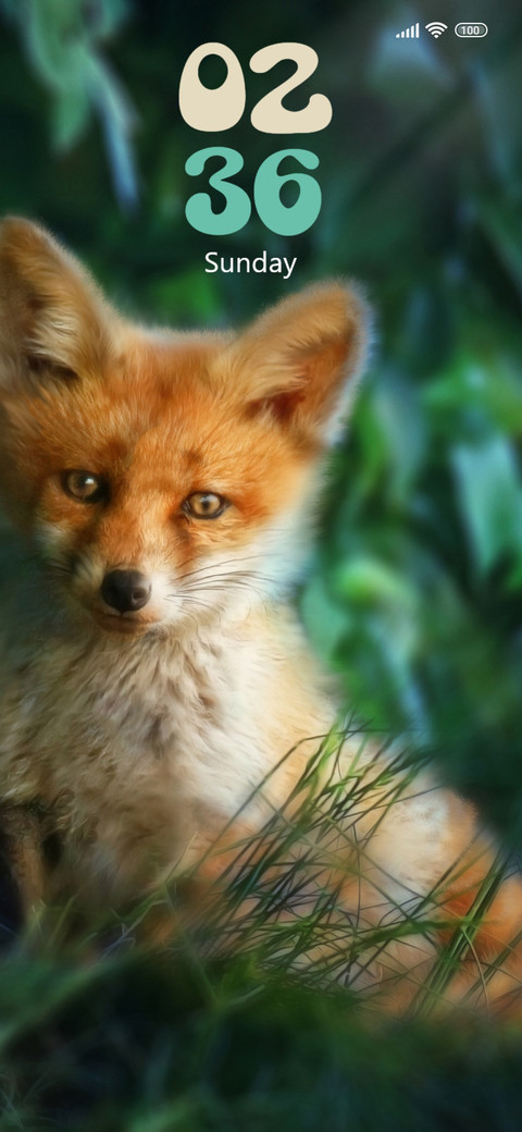 Reynard screenshot