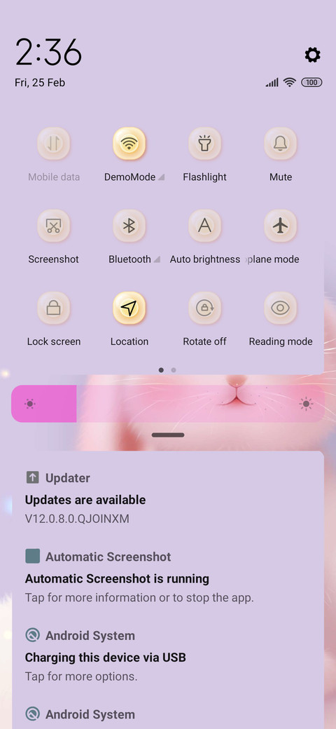 Big ears bunny screenshot