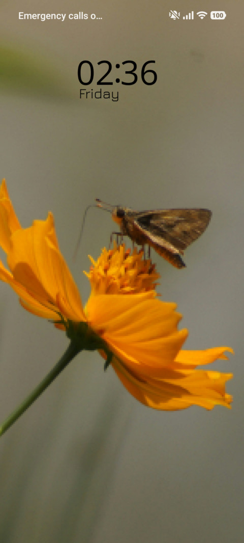 Dream Landing screenshot