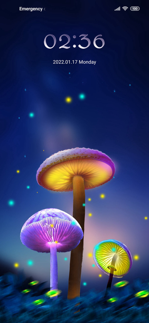 The mushroom screenshot