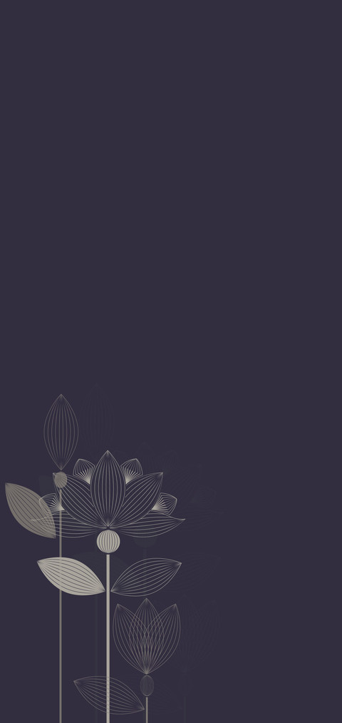 线荷 screenshot