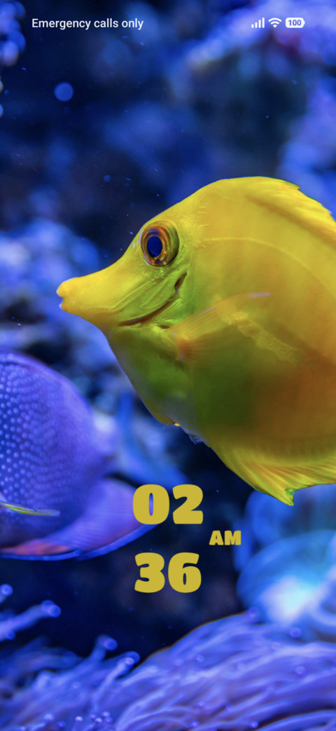 Fish screenshot