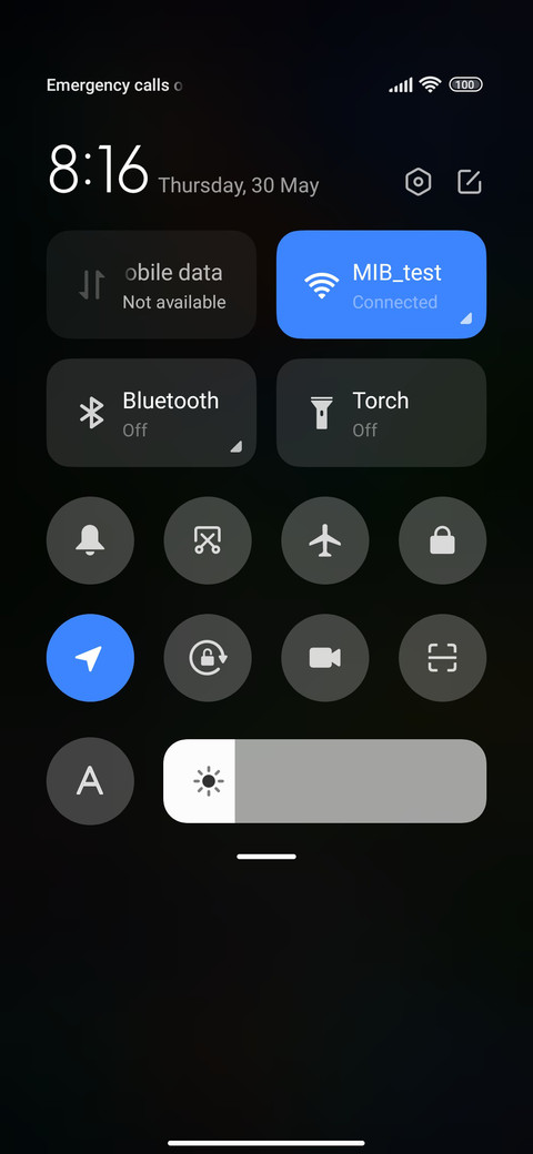 Koi In The Palm screenshot