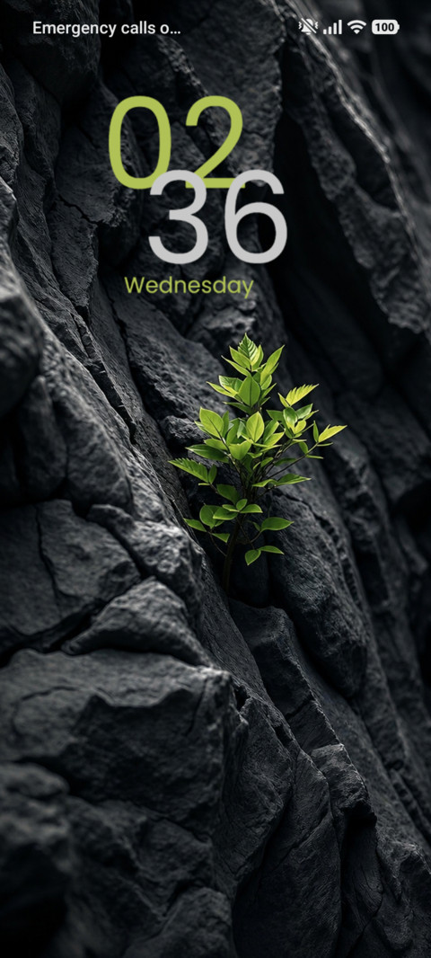 Wild ? Rock screenshot