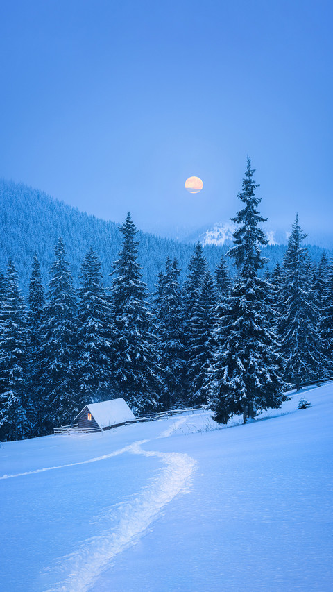 Winter Landscape  with A Wooden Cabin in The Forest screenshot