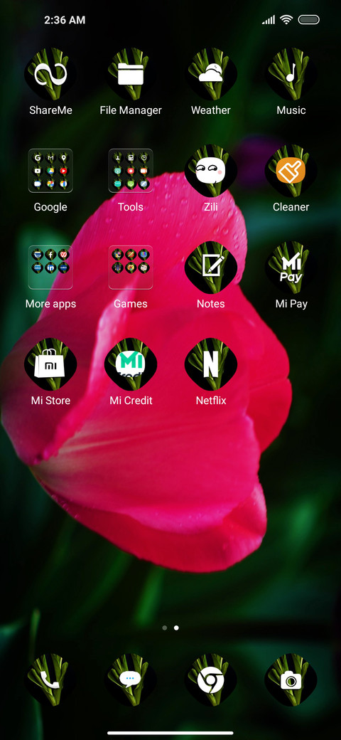Tulips fi screenshot