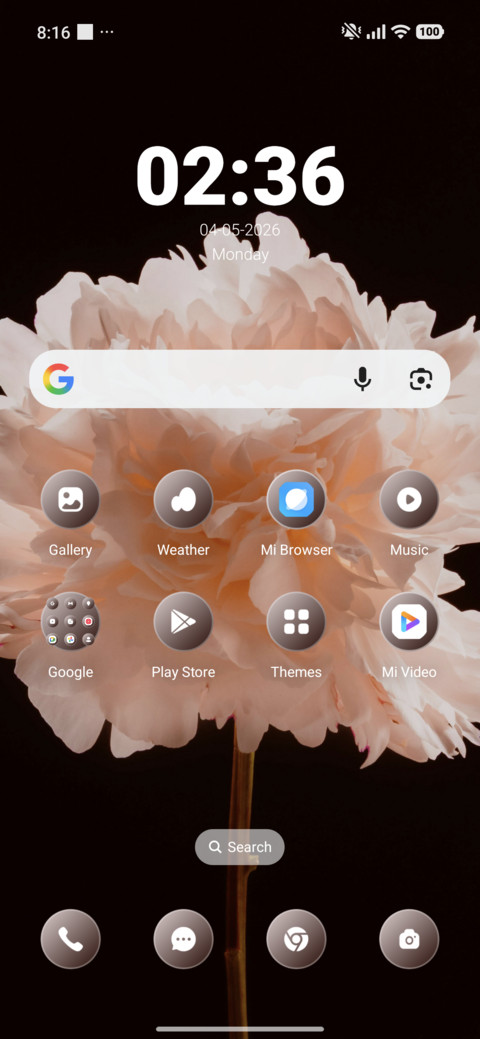 Bloom Bay screenshot