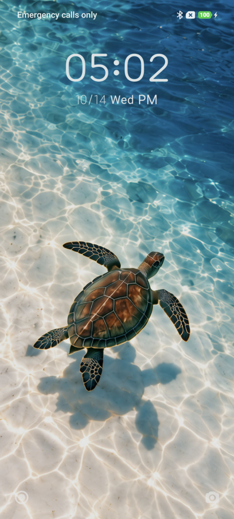 Turtle Lagoon screenshot