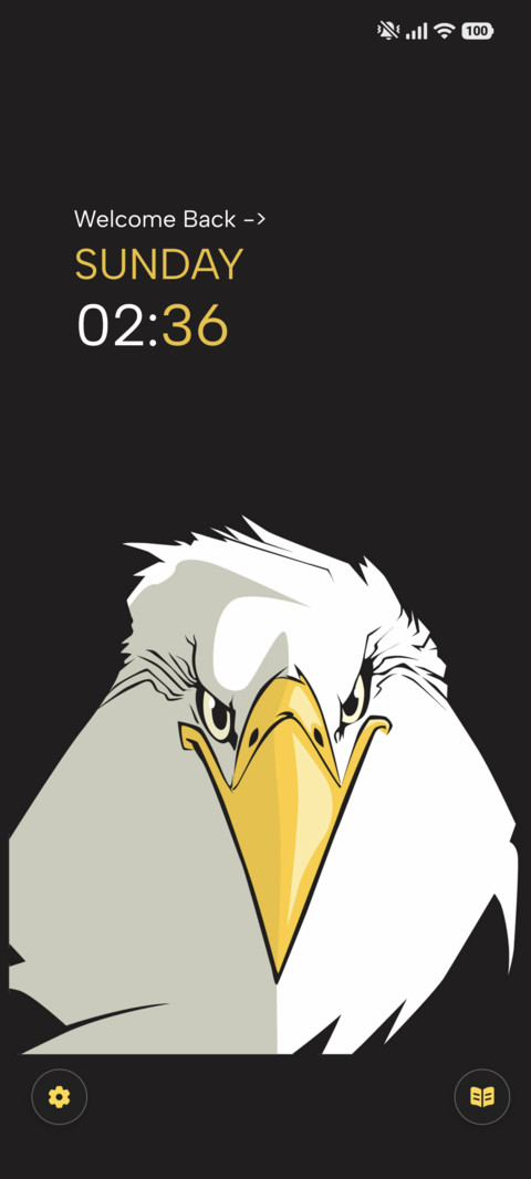 Eagle Eyes screenshot