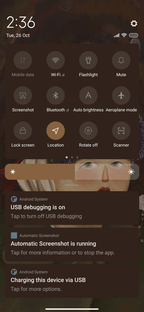 Van Gogh portrait screenshot