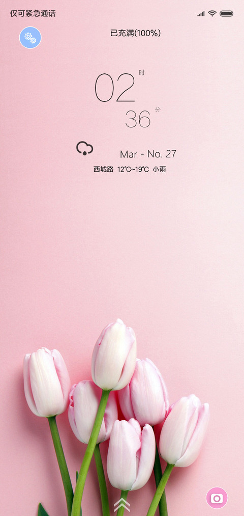 百合花语 screenshot