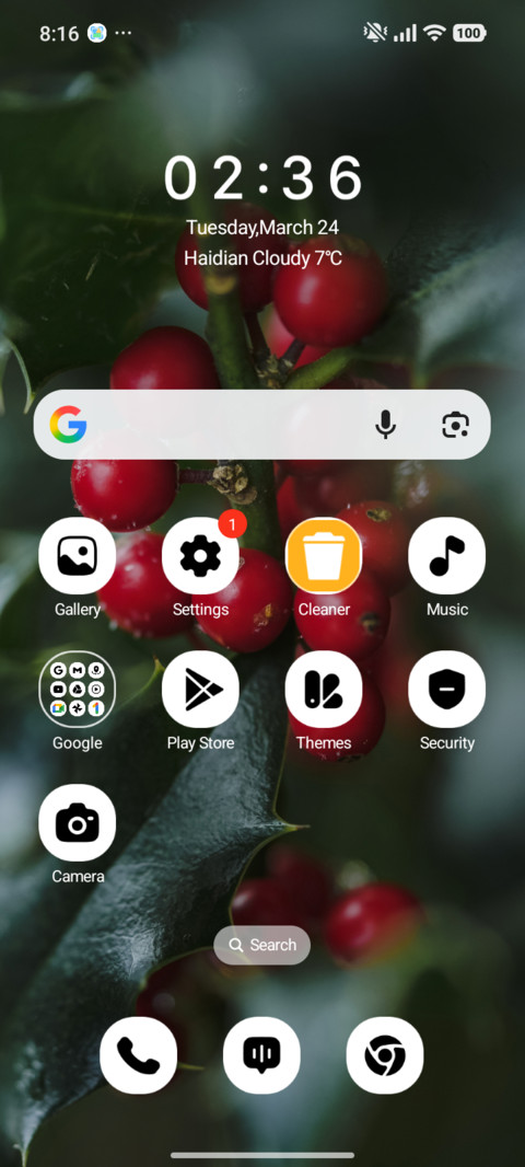 Winter Berries screenshot