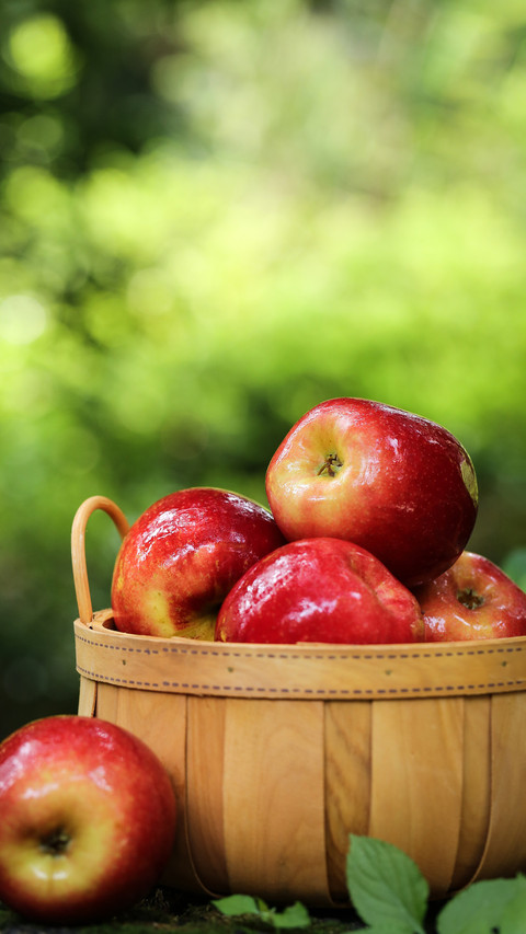 Apples are more refreshing than coffee screenshot