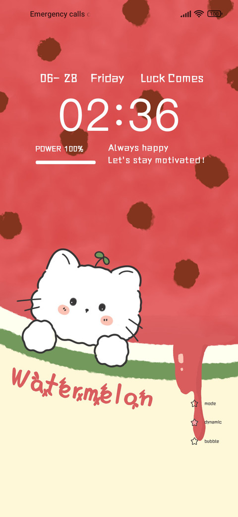 Watermelon Flavor screenshot