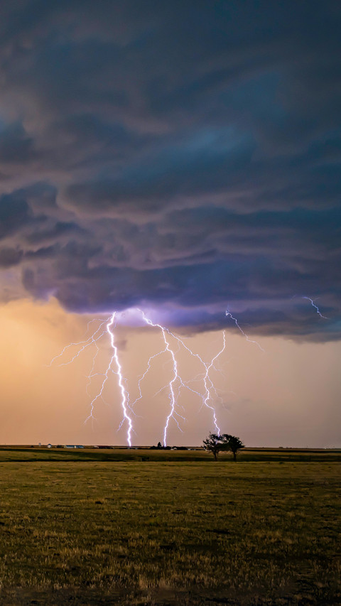 Thunder And Lightning Fell on The Grassland screenshot