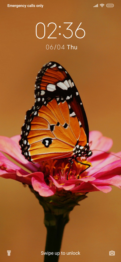Butterfly_3MDS screenshot