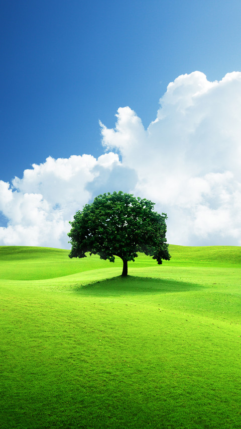 Eye protection and fresh grass screenshot