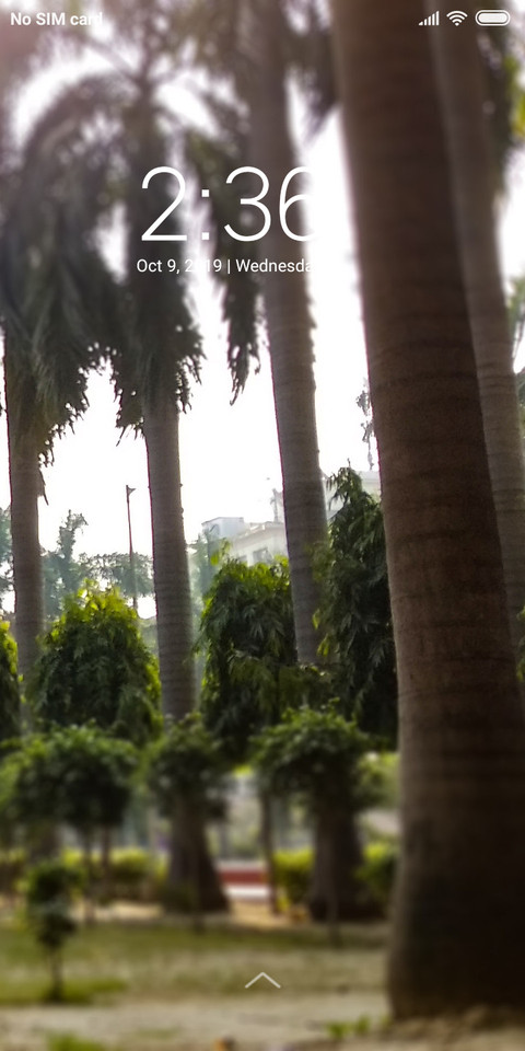 PinesTree_DWM2 screenshot