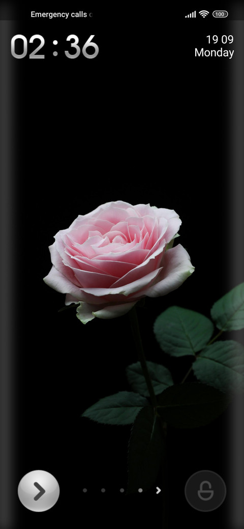Rose trance screenshot