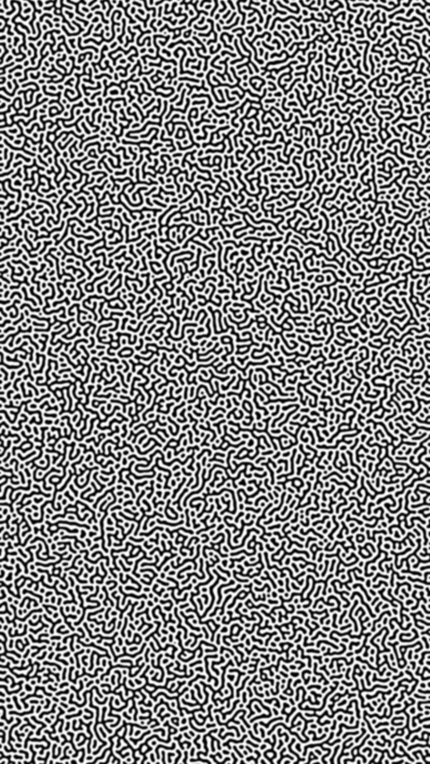 Turing Pattern screenshot