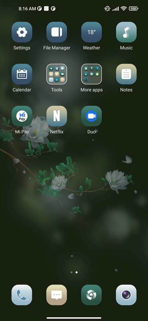 Beautiful flowers screenshot