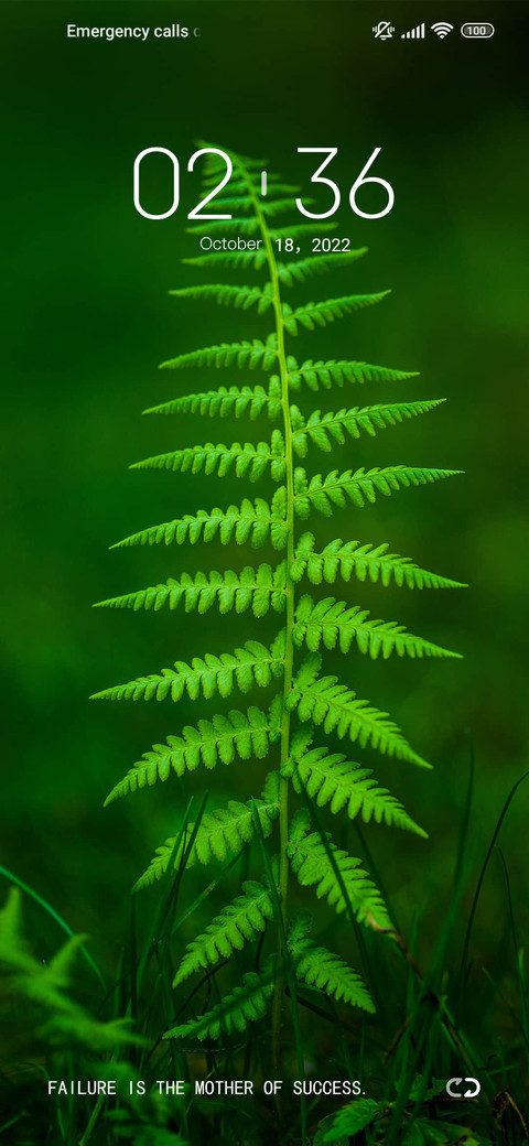 Green Max screenshot