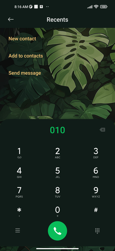 Rainforest Clock screenshot
