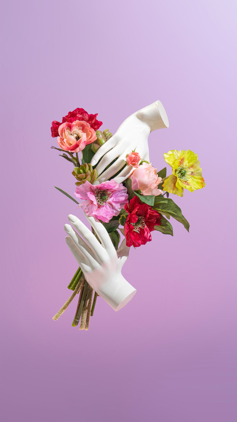 Minimalist Plants and flowers screenshot