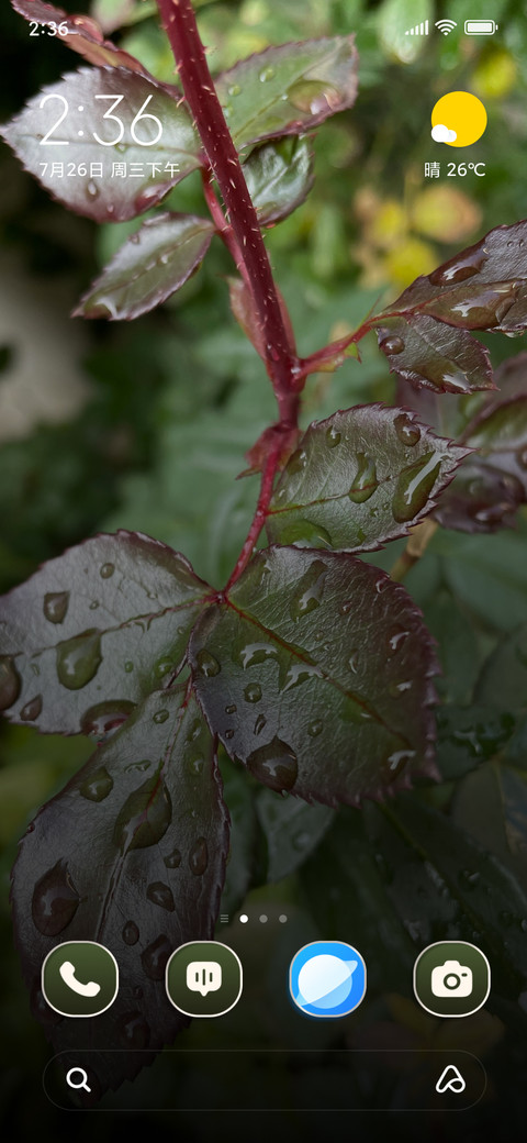 Wet Leaf screenshot