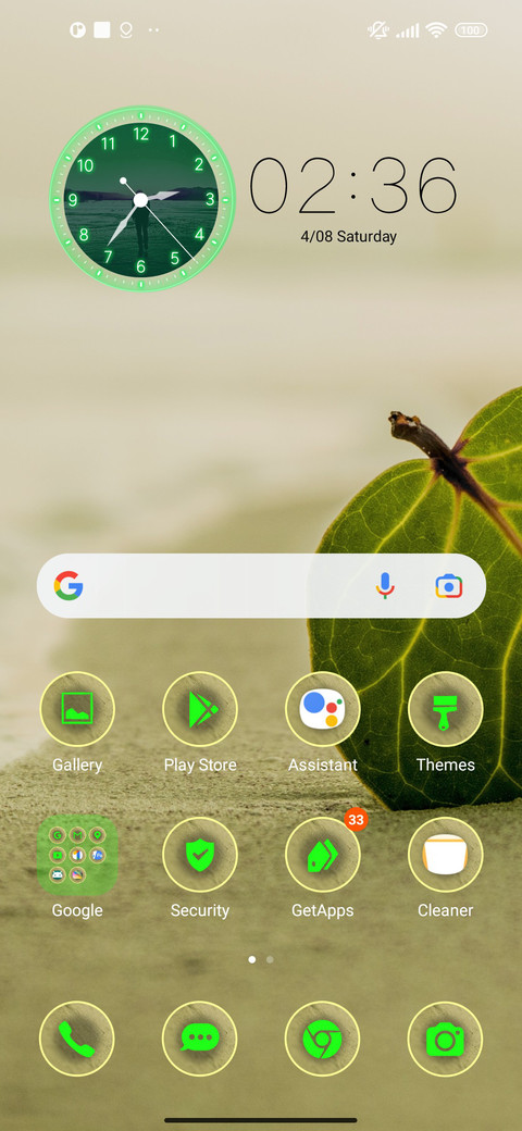 beach leaf screenshot