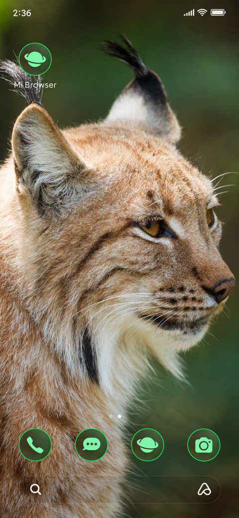wildlife lynx screenshot