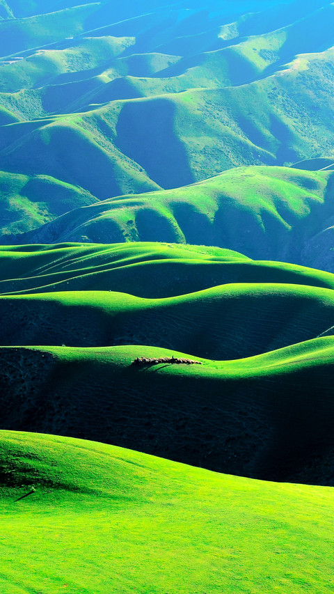 Kalajun Human Grassland in Ili, Xinjiang, China screenshot