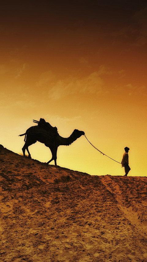 india-camel screenshot