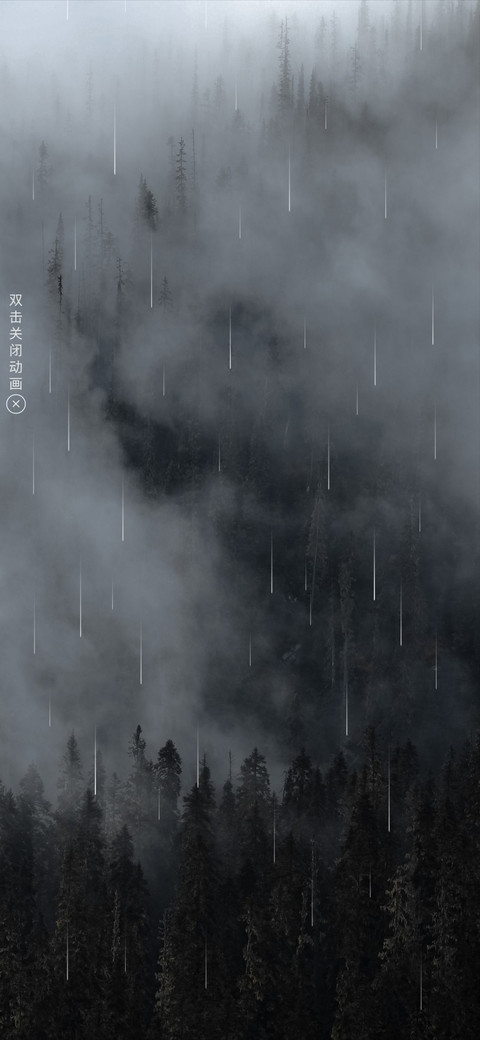 雨林 screenshot