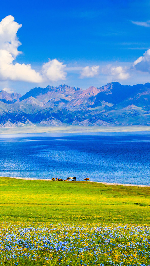 Autumn tourism in xinjiang goes beyond kanas screenshot