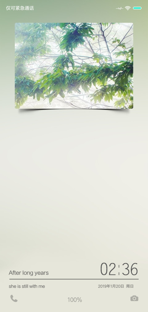 GREEN screenshot