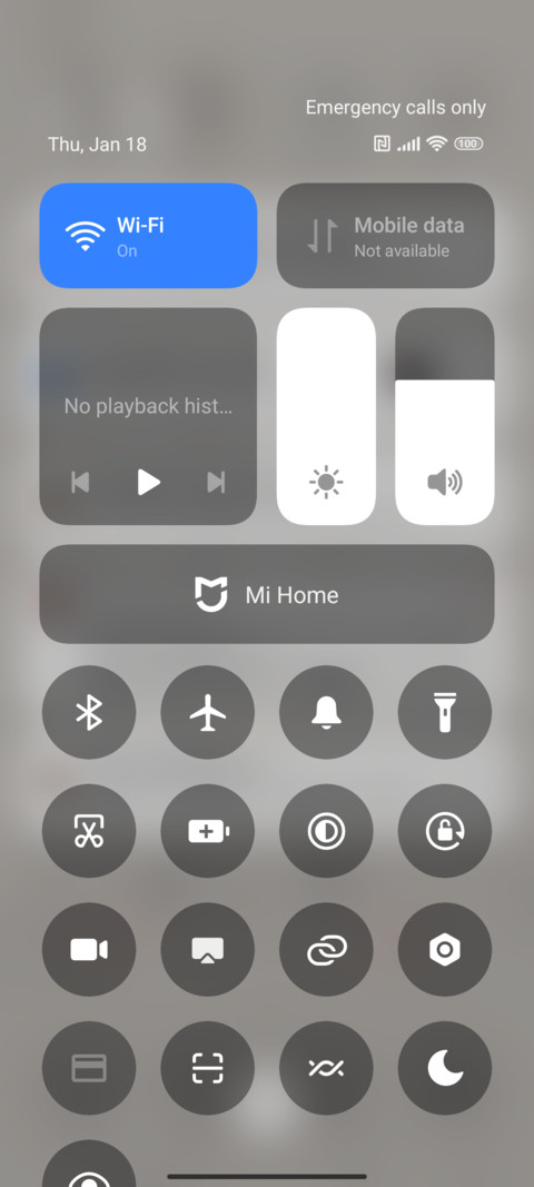cat its friends screenshot
