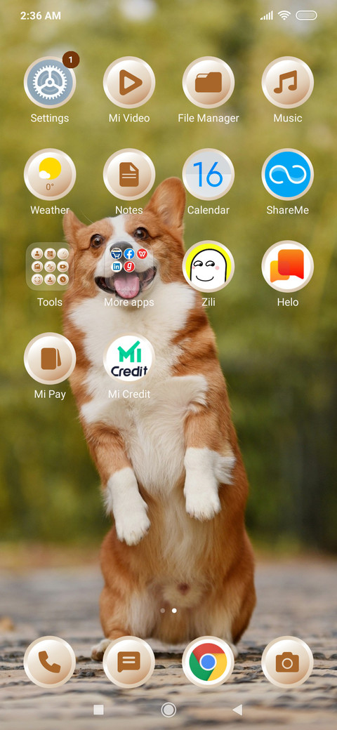 Puppy_3MDS screenshot