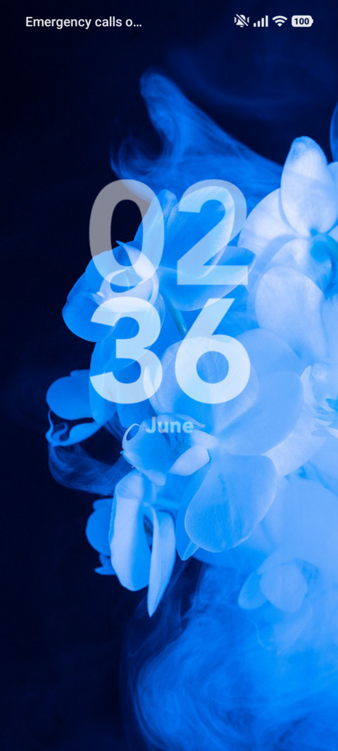 Blue Blossom screenshot