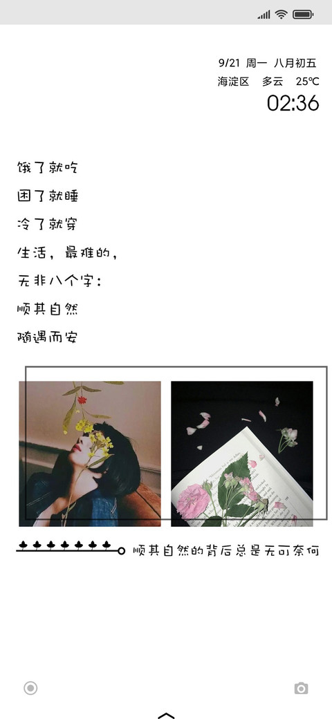 委屈之后的随遇而安 screenshot