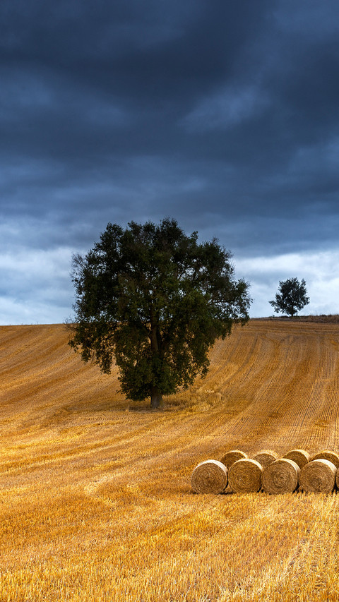 Straw bales in the field at sunset with dramatic sky screenshot