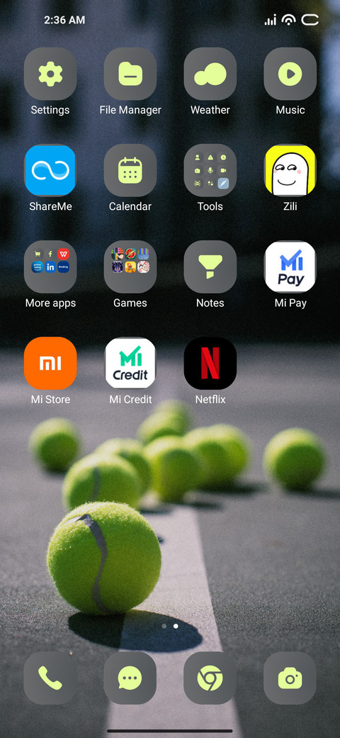 Ball Cricket screenshot