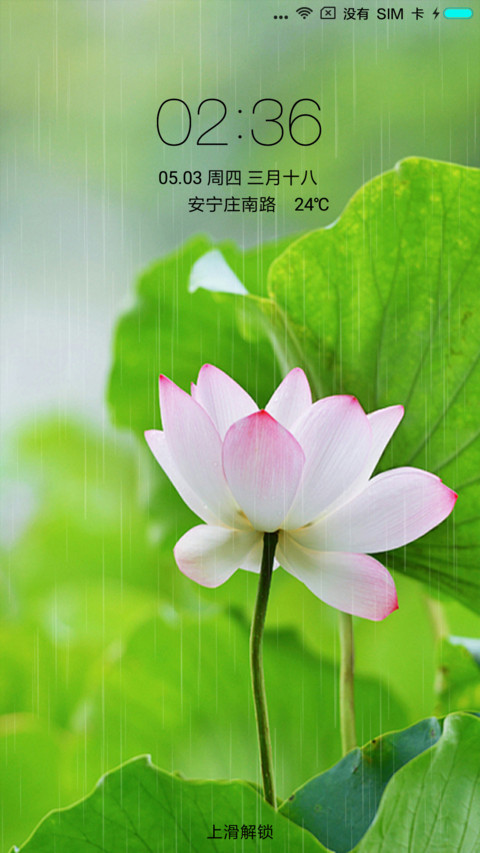 唯美荷花 screenshot