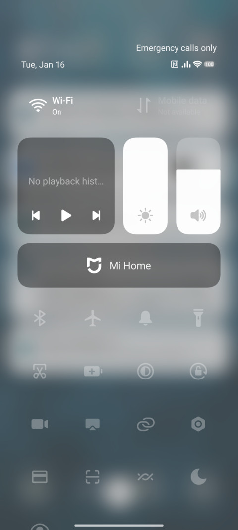 white cat screenshot
