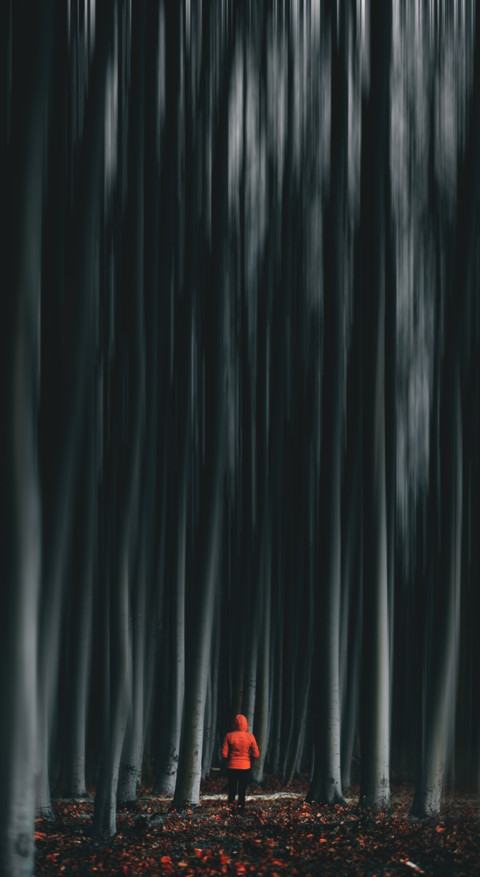 Alone (12) screenshot