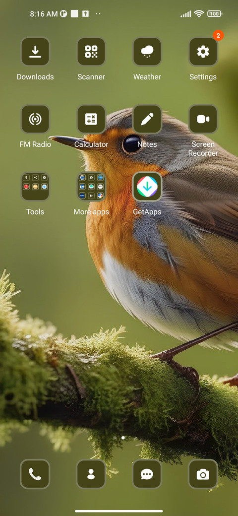 Bird screenshot