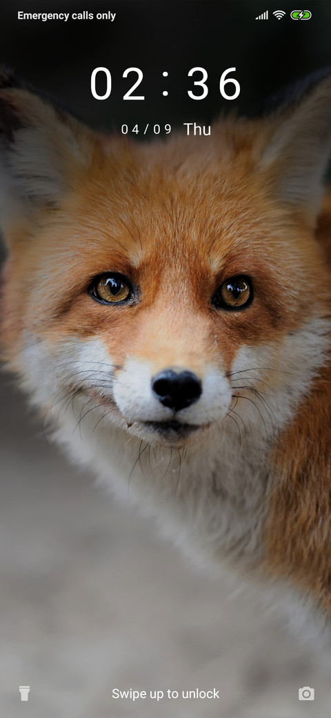 Fox_3MDS screenshot