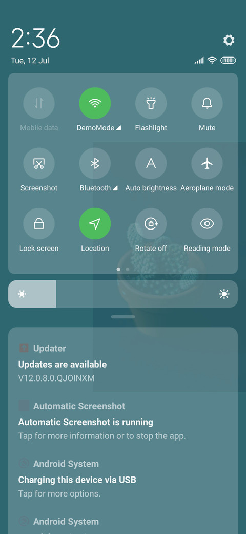 cactus screenshot