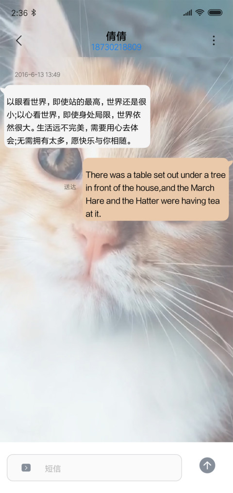 For视频动态网红喵 screenshot